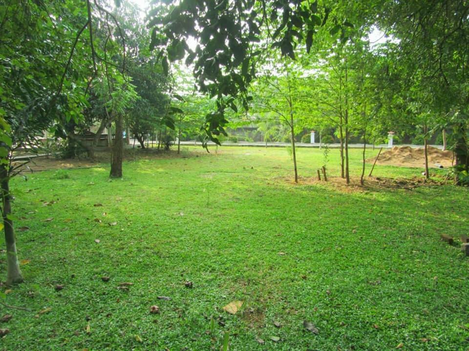 Hotel Tree Garden Wilpaththu Nochchiyagma Anuradhapura Nochchiyagama Bagian luar foto